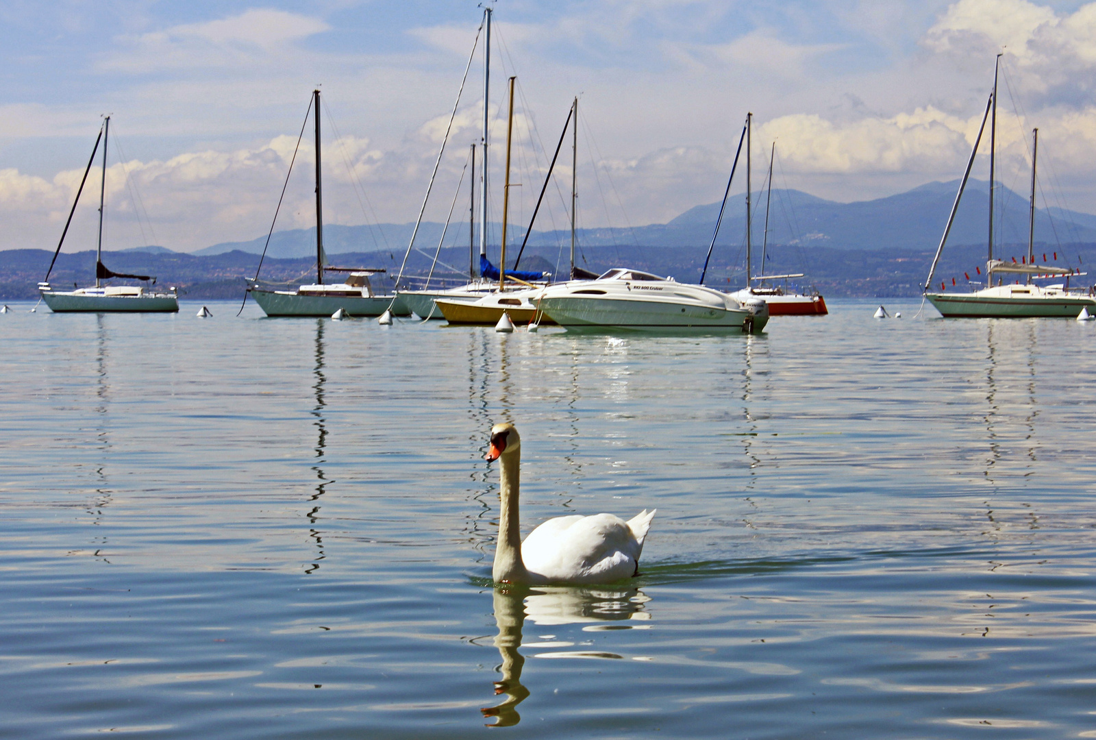 Gardasee