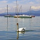 Gardasee