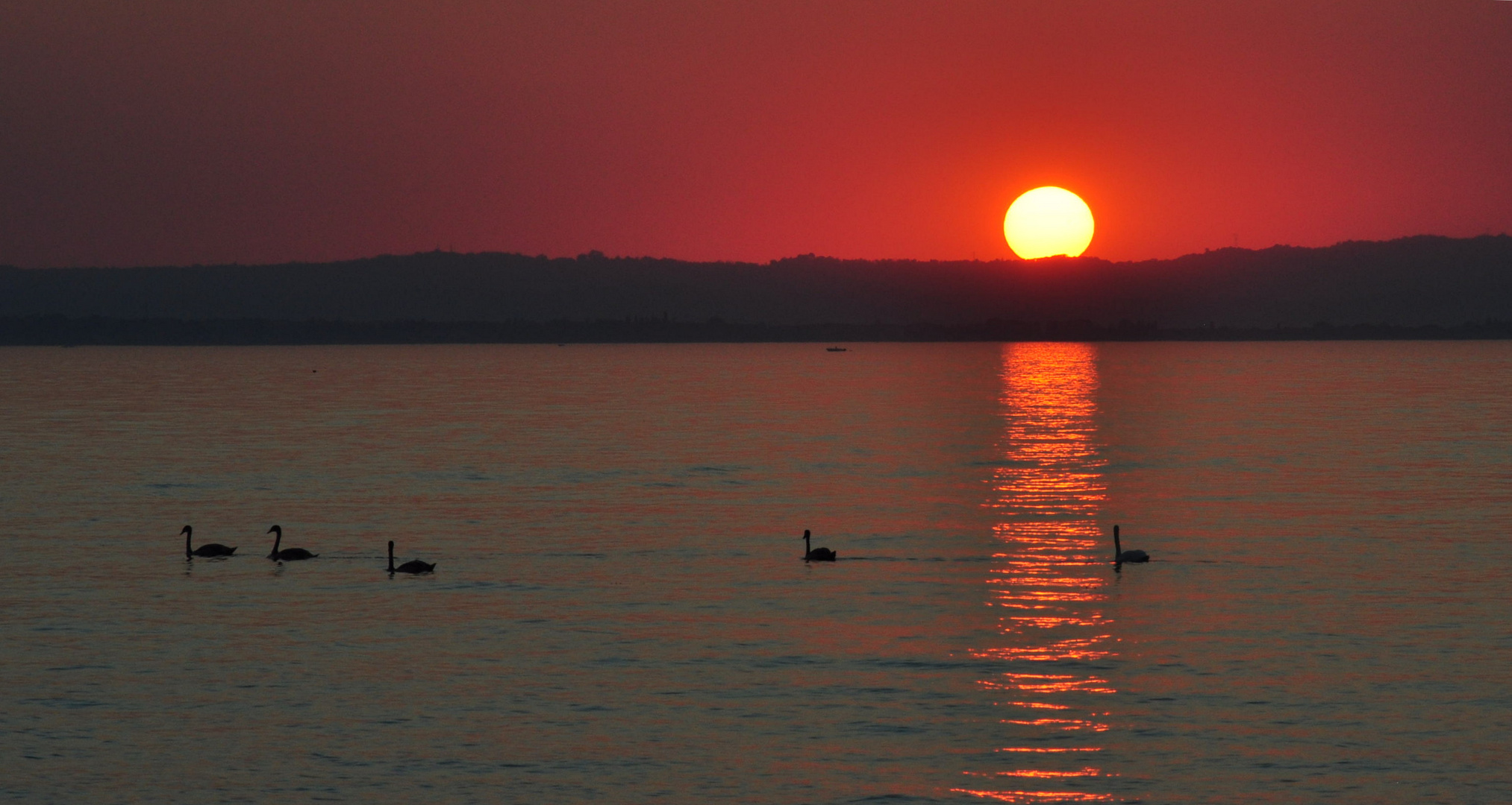 Gardasee