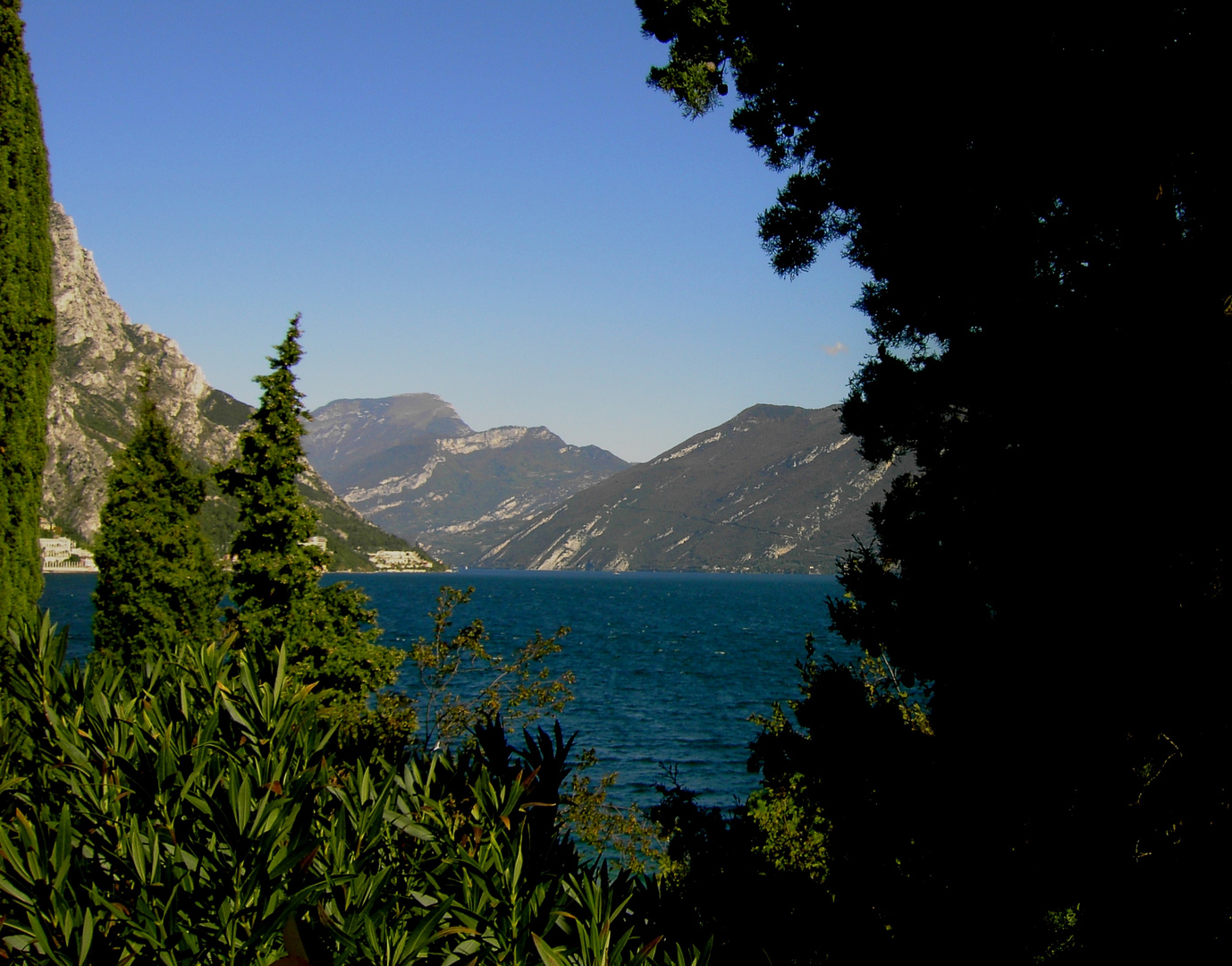 Gardasee III