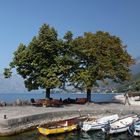 Gardasee im Spätsommer 2011