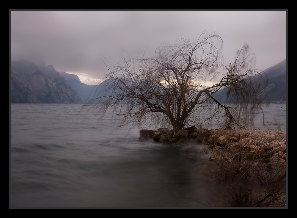 Gardasee im Winter