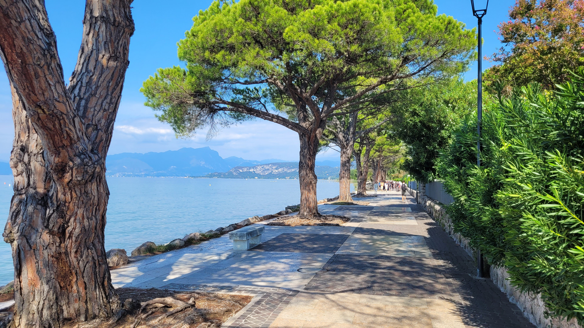 Gardasee, Lazise