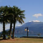 Gardasee - Palmen und Schnee