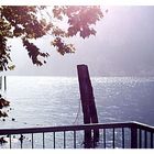 Gardasee (Sommer 2005)