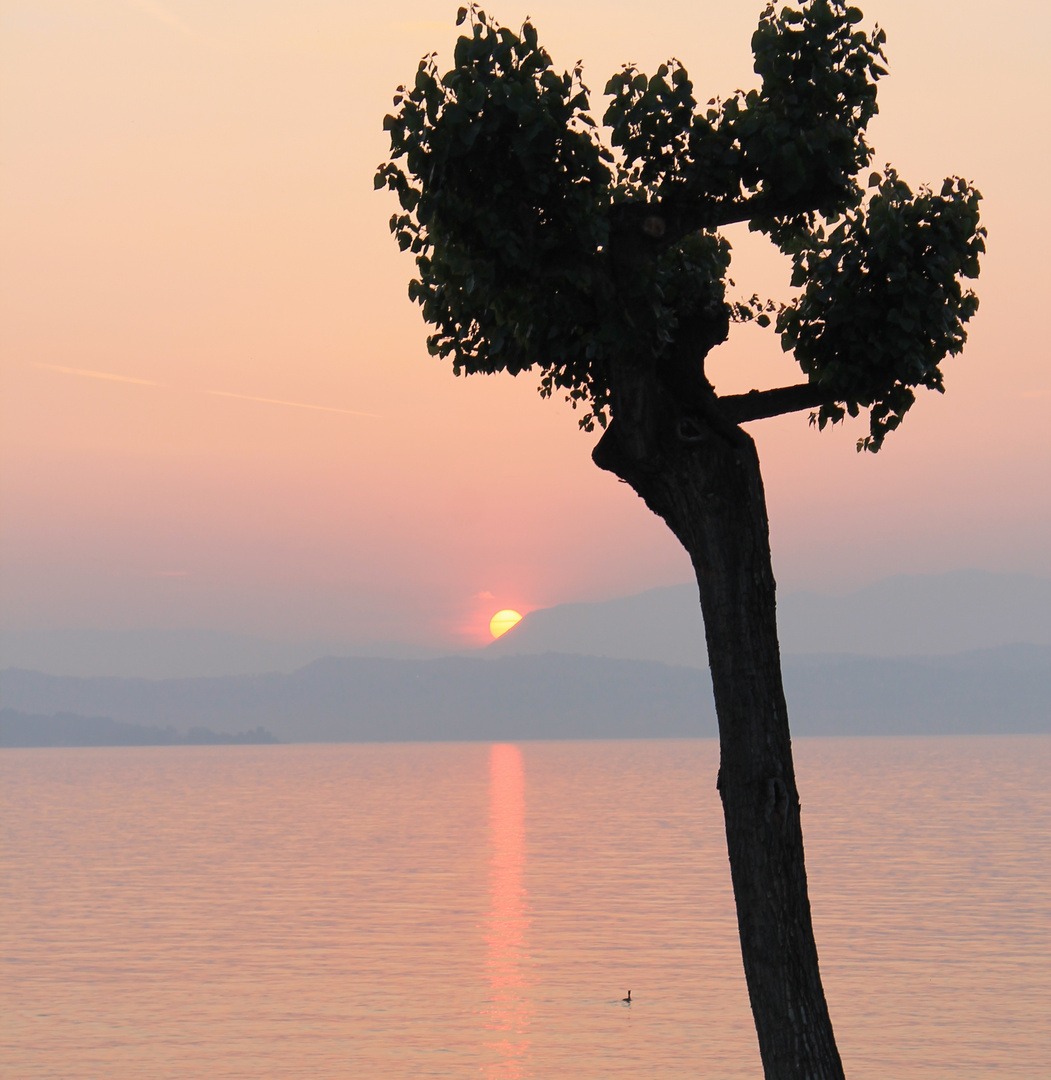 Gardasee Sonnenuntergang