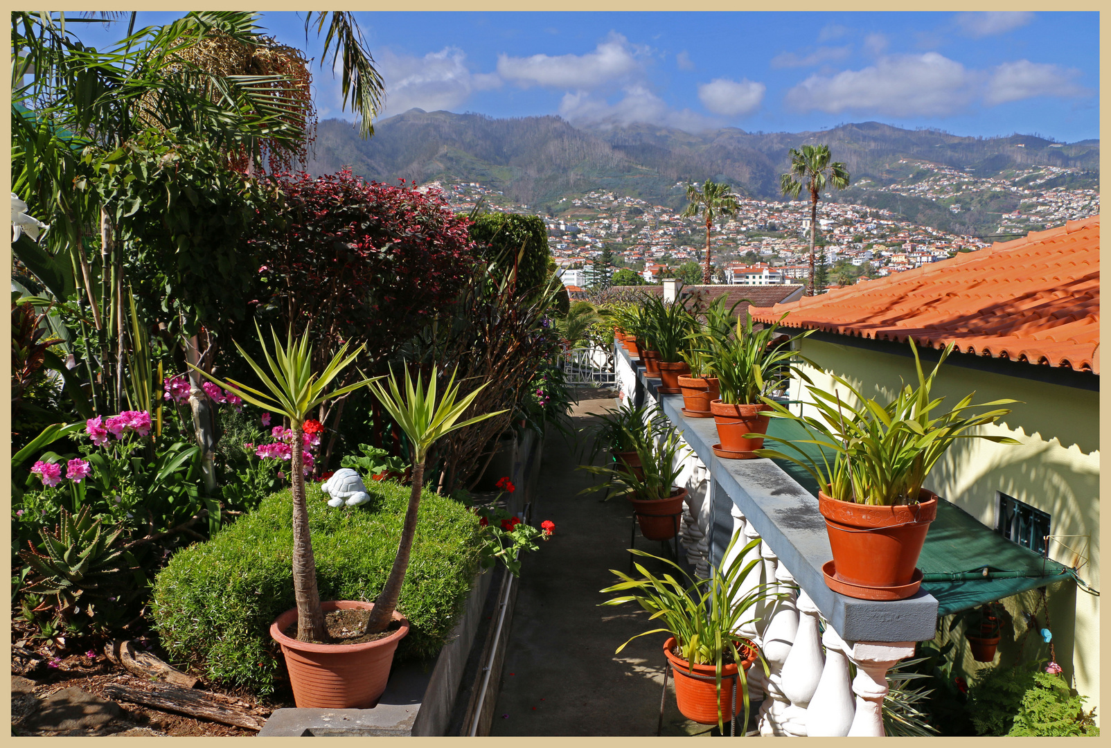 garden below the villa