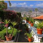 garden below the villa