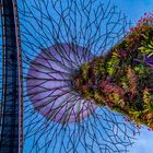 Garden by the bay