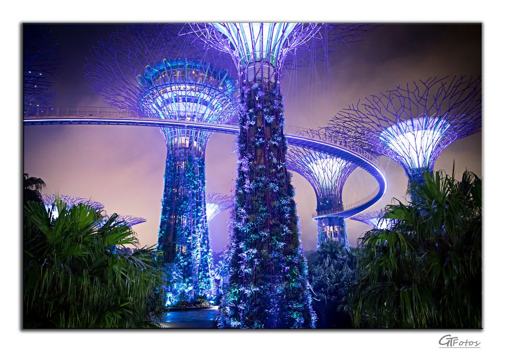 Garden by the Bay