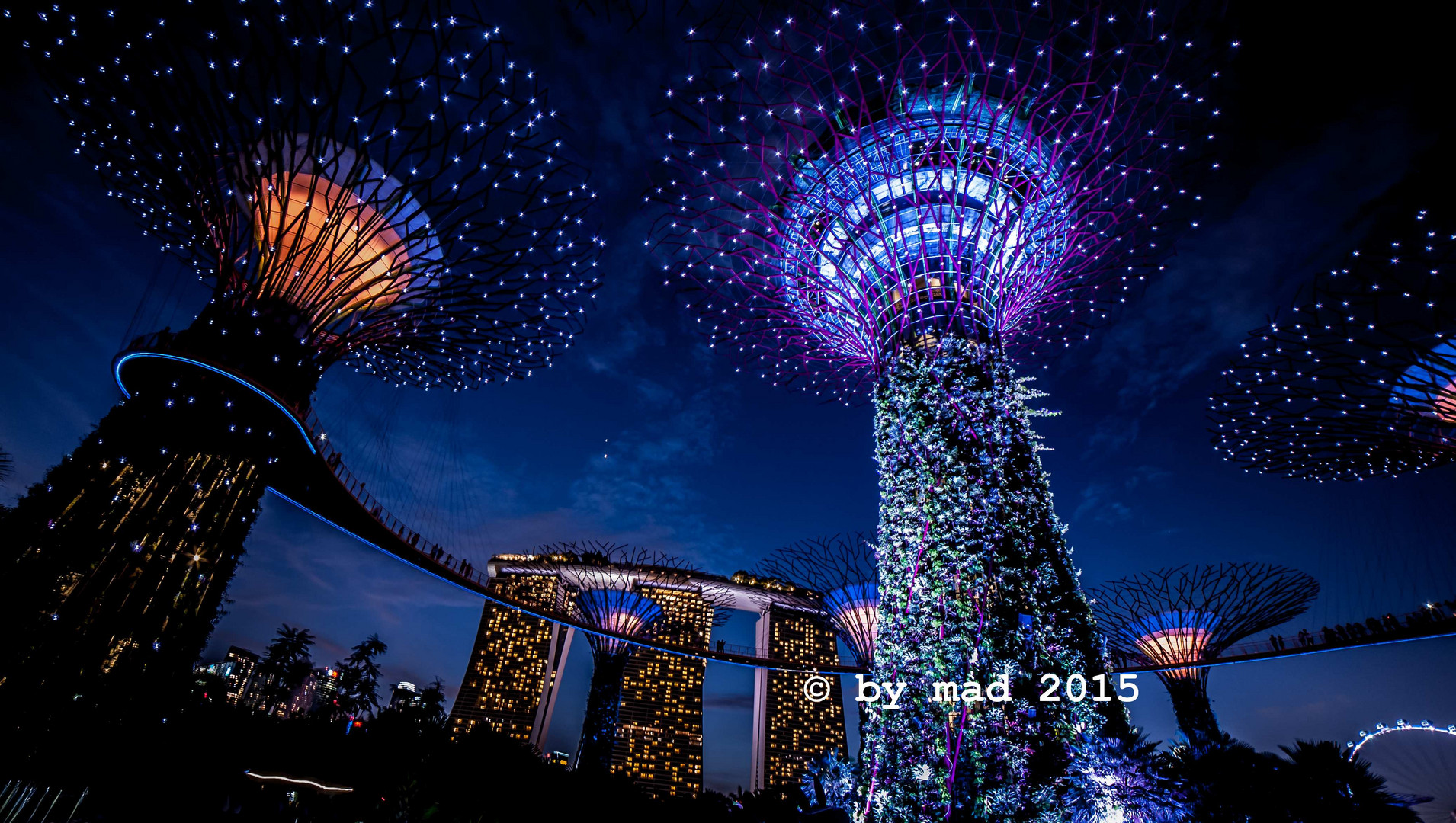 Garden by the Bay