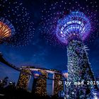 Garden by the Bay