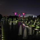 Garden by the bay