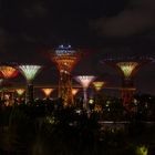 Garden by the Bay