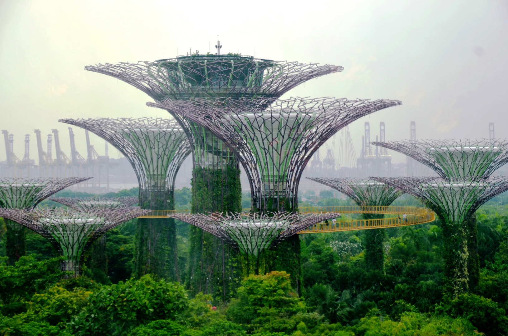 Garden by the Bay, Singapur