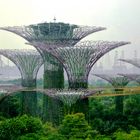 Garden by the Bay, Singapur