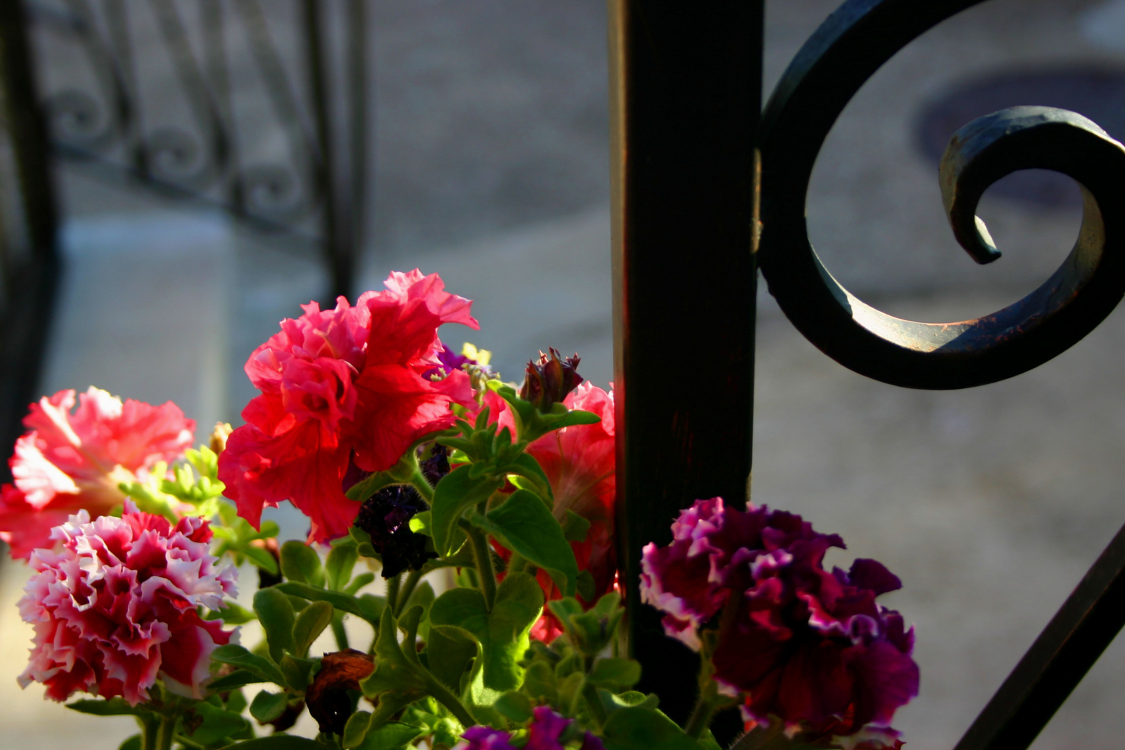 GARDEN DETAIL