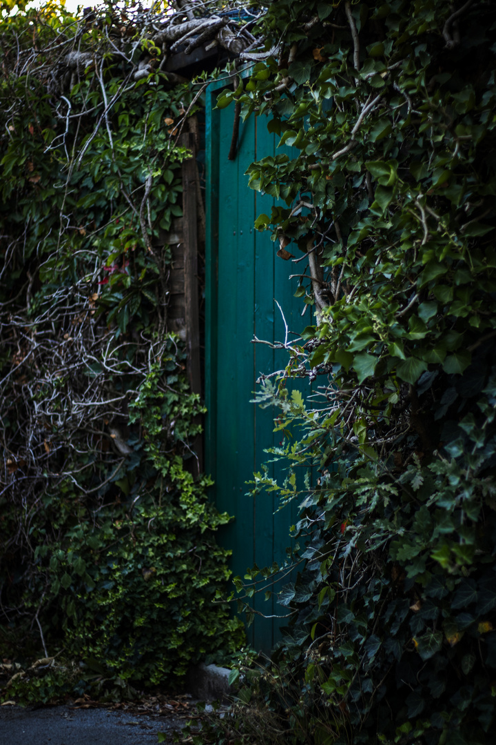 Garden door, Dorsten Germany