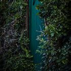 Garden door, Dorsten Germany