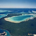 Garden Eden New Caledonia