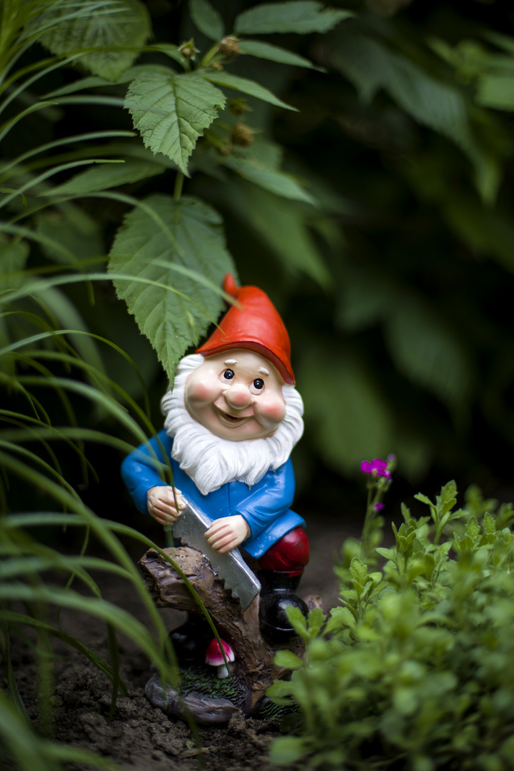  Garden figure gnome with saw 