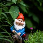  Garden figure gnome with saw 