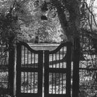 Garden Gate