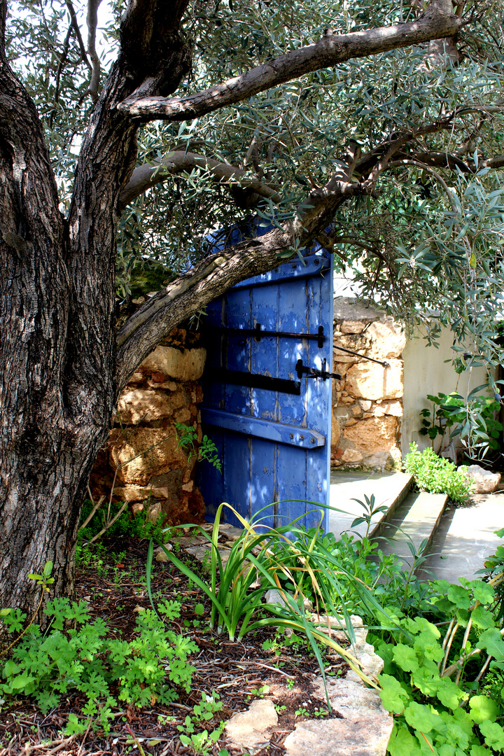 garden gate