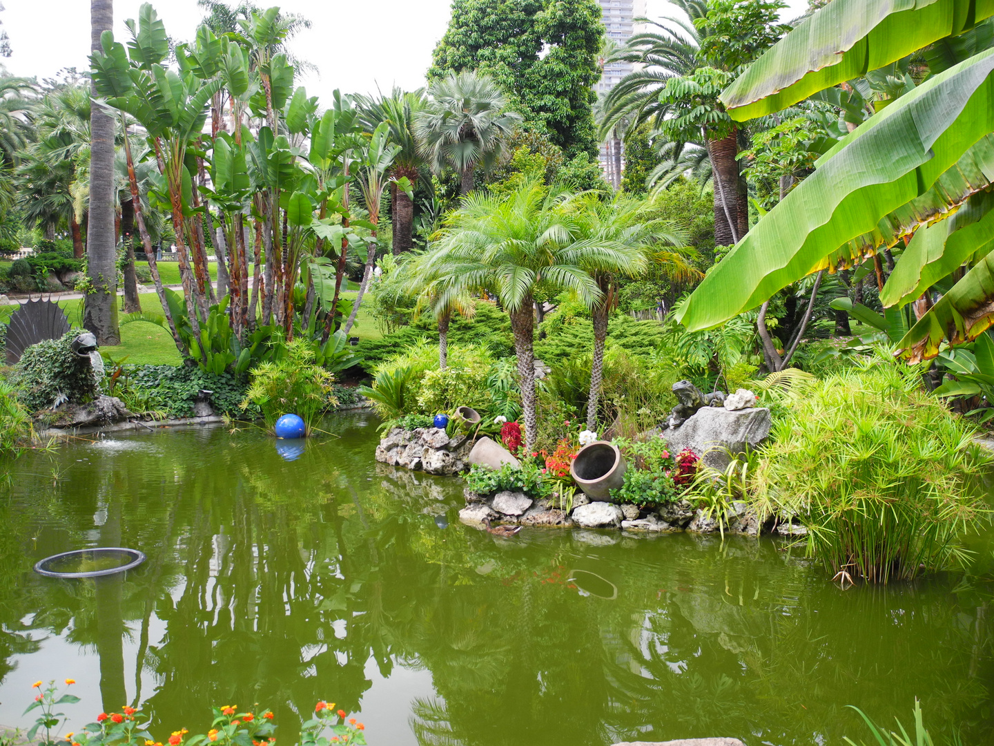 GARDEN IN MONTE CARLO