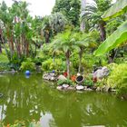 GARDEN IN MONTE CARLO