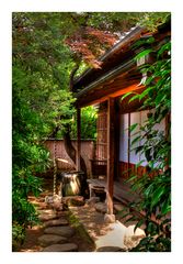 Garden in sunlight