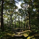 Garden Kokoen, Himeji, Japan