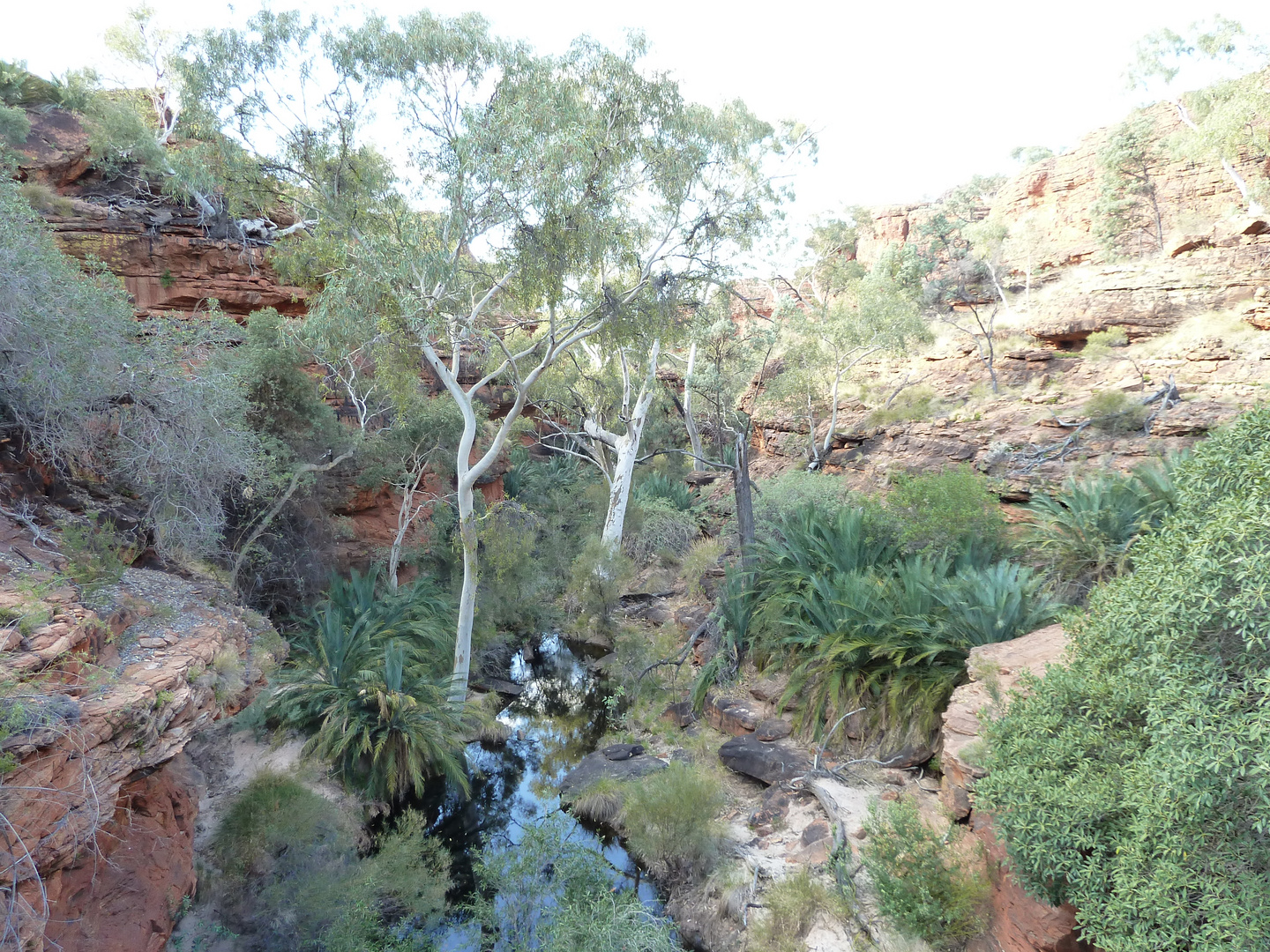Garden Of Eden Foto Bild Australia Oceania Australia