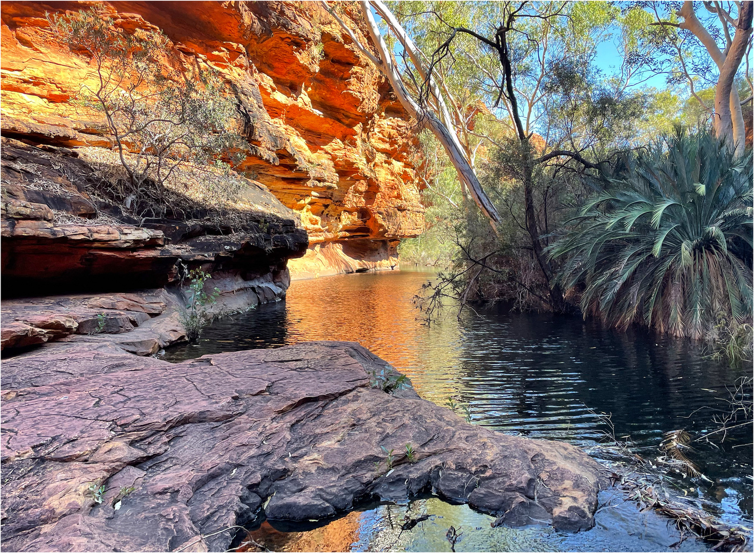 Garden Of Eden - Kings Canyon 