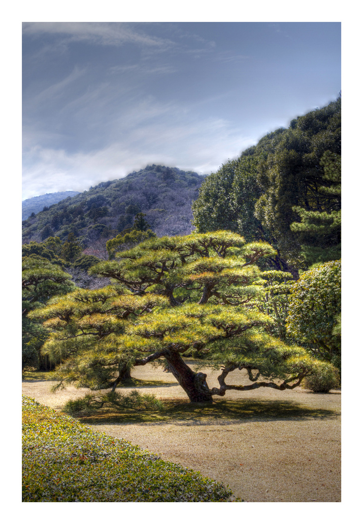 Garden of Ise Shrine