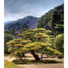 Garden of Ise Shrine