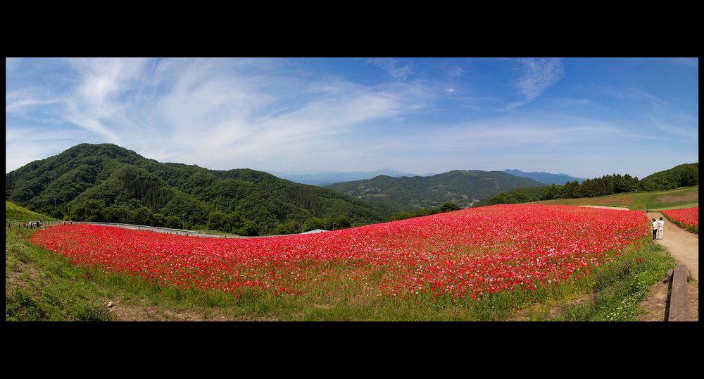 Garden of plateau