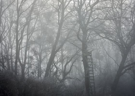 Garden of Remembrance *