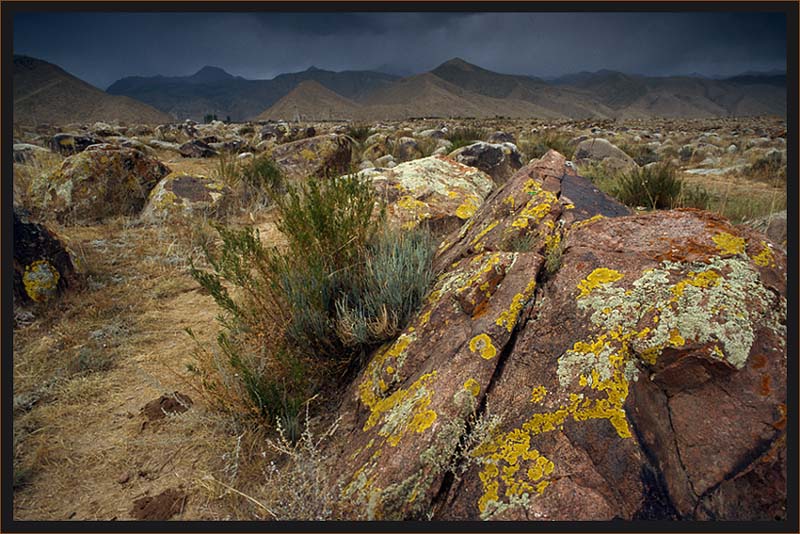 Garden of Stones...