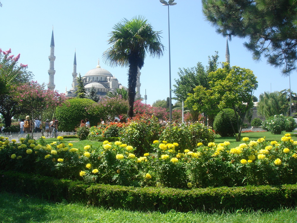 Garden of Sultan Ahmed Mosque