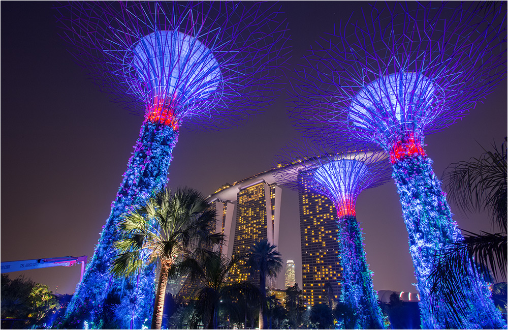 Garden of the bay