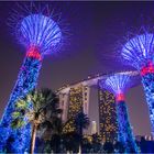 Garden of the bay