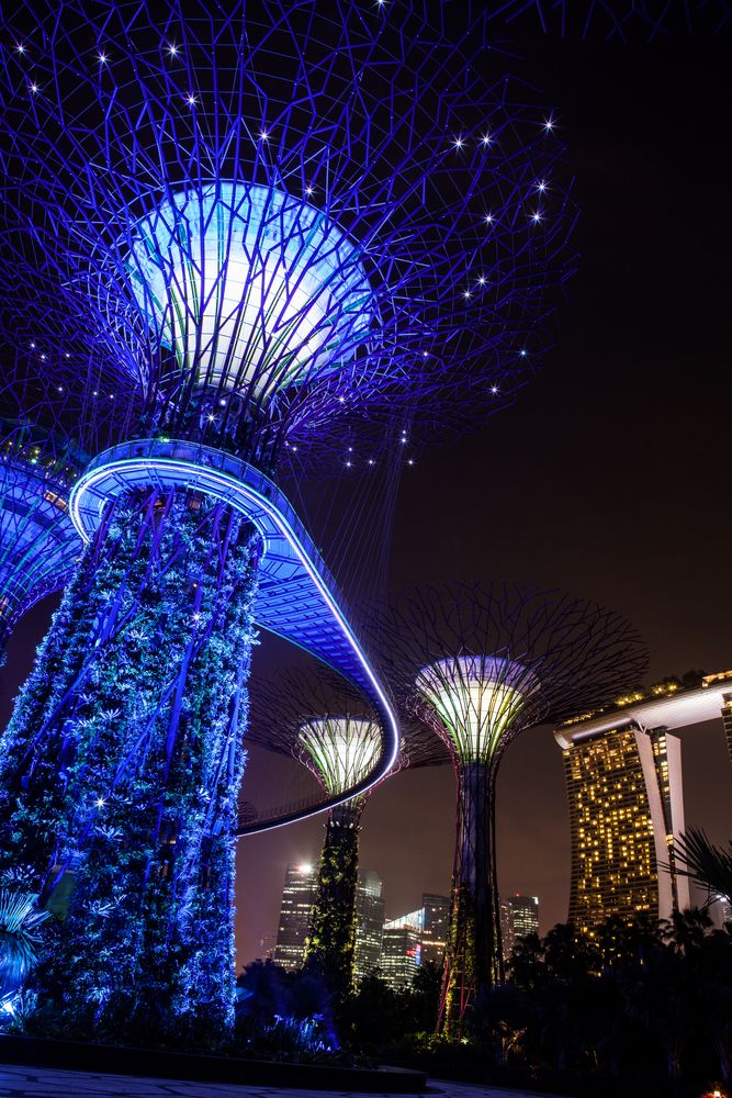 Garden of the Bay