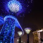 Garden of the Bay