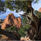 Garden of the Gods