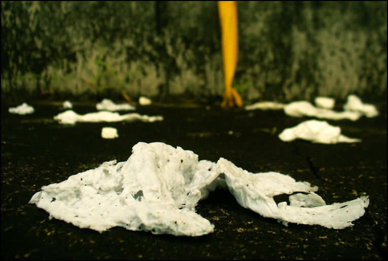 Garden of used tissues after rain