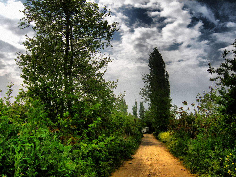 garden path