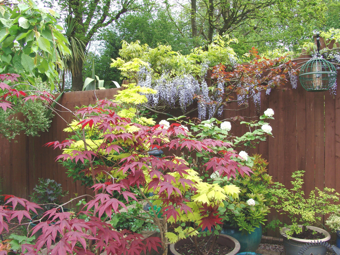 Garden Photo Frame of Colour