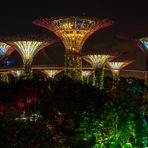 Garden Rhapsody - Gardens by the Bay - Singapur (2)