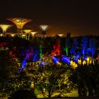 Garden Rhapsody - Gardens by the Bay - Singapur